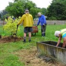 Planting the carpark